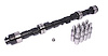 Magnum 272H Hydraulic Flat Tappet Camshaft & Lifter Kit Lift .440"/.440" Duration 272°/272° RPM Range 1500-5500 - image 1