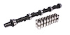 High Energy 260H Hydraulic Flat Tappet Camshaft & Lifter Kit Lift: .454" /.454" Duration: 260°/260° RPM Range: 1200-5200 - image 1