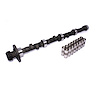 High Energy 252H Hydraulic Flat Tappet Camshaft & Lifter Kit Lift .465"/.465" Duration 252°/252° RPM Range 800-4800 - image 1