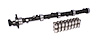 Big Mutha" Thumpr Hydraulic Flat Tappet Camshaft and Lifter Kit Lift .517"/.502" Duration 295/313 RPM Range 2500-6400 - image 1