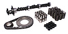 High Energy 252H Hydraulic Flat Tappet Camshaft Complete Kit Lift: .425" /.425" Duration: 252°/252° RPM Range: 1000-4800 - image 1