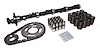 Big Mutha" Thumpr Hydraulic Flat Tappet Camshaft Complete Kit Lift .517"/.502" Duration 295/313 RPM Range 2500-6400 - image 1