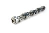 Stage 1 Thumpr Hydraulic Roller Cam Kit for GEN III LS 4.8/5.3/6.0L Trucks [Lift .541"/.530"] - image 3
