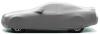 Form-Fit Car Cover - image 1