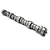 CHEVY LS1 HYDRAULIC ROLLER CAM - image 1