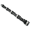 Torque Beast Hydraulic Cam Performance Level: 3 - image 1