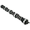 Power Beast Hydraulic Cam Performance Level: 3 - image 1