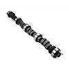 Hydraulic Flat Tappet Camshaft Ford 221-302 Boss 302 - image 1