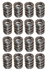 VALVE SPRINGS 1.520 TUNGSALLOY OUTER - image 1