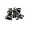 VALVE SPRINGS 1.300 DUAL LS1 - image 1