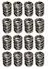 VALVE SPRINGS 1.300 DUAL LS1 / VIPER - image 1