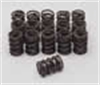 VALVE SPRINGS DUAL 1.095 OD .630 ID - image 1