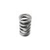 VALVE SPRINGS DUAL 1.095 OD .605 ID - image 1