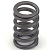 Valve Spring Mitsubishi/Neon - image 1