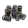 Valve Springs - image 1