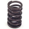 Valve Springs - image 1