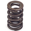 Valve Springs Spring O.D.: 1.385" - image 1