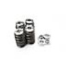 KIT FORD FOCUS SINGLE SPRING / TI RETAINERS - image 1