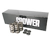 SPRING KIT V10 VIPER (2003-UP) WITH STEEL RETAINERS - image 1