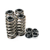 SPRING KIT FORD 4.6L SOHC (2 VALVE) HIGH PRESSUREW/STEEL RETAINERS - image 1