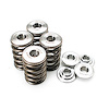 SPRING KIT FORD 4.6L/5.4 DOHC MODULAR (4 VALVE) - image 1