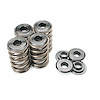 SPRING KIT FORD 4.6L/5.4 DOHC MODULAR (4 VALVE) - image 1