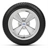 Golf Cart S/S 12" x 7" Wheel and Tire Assembly - image 2