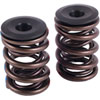Spring & Retainer Kit - image 1