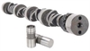Hydraulic Flat Tappet Zcam/Lifter Kit Valve Lift: .446" int/.459" exh - image 1