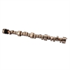 HR-246/400-2S-14 IG camshaft - Ch. 396-454 V8 67-95 - image 1
