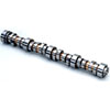 Mechanical Roller Camshaft 1997-Up Chevy LS V8 4.8-6.2L - image 1