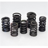 OUTER VALVE SPRING W/DAMPER SET/16 - image 1