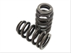 OUTER VALVE SPRING W/DAMPER PKG/2 - image 1