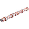 Hydraulic Roller Follower Camshaft Valve Lift: .355" /.315" - image 1
