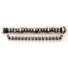 Crane Cams Hydraulic Flat Tappet Camshafts - image 1