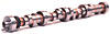 Crane Cams Hydraulic Flat Tappet Camshafts - image 1