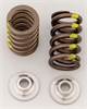Valve Spring & Titainium Retainers Kit - image 1
