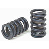 Single Valve Springs Outside Diameter: 1.435" - image 1