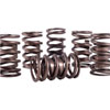 Single Valve Spring Outside Diameter: 1.437" - image 1