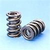 VALVE SPRING