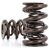 Triple Valve Springs Outside Diameter: 1.675" - image 1