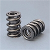 Valve Springs - triple 1.675 pkg/2 - image 1