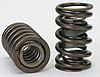 Dual Valve Springs w/ Damper Outside Diameter: 1.460 - image 1