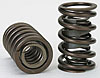 Dual Valve Springs Outside Diameter: 1.460 - image 1