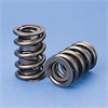 VALVE SPRINGS - image 1