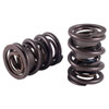 Valve springs - dual w/damper 1.437 pkg/2 - image 1