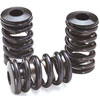 Dual Valve Springs w/ Damper 1.437" set/16 - image 1