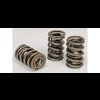 Dual Valve Springs w/ Damper Outside Diameter: 1.460 - image 1