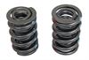 Valve springs - dual w/damper 1.551 pkg/2 - image 1