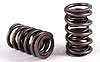 DUAL SPRING ASSEMBLY SET/16 - image 1